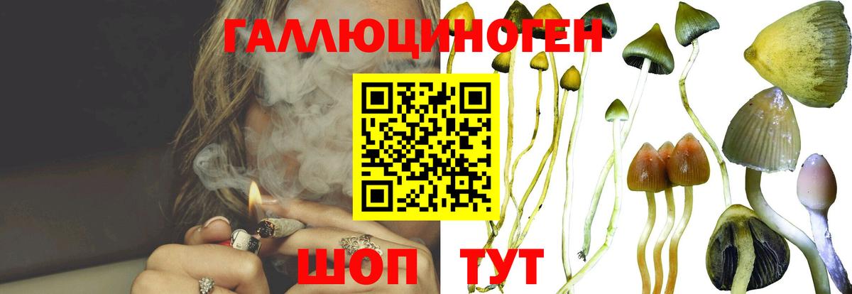 Кимовск  Галлюциногенные грибы Magic Shrooms  Галлюциногенные грибы MAGIC MUSHROOMS  Вход с VPN 